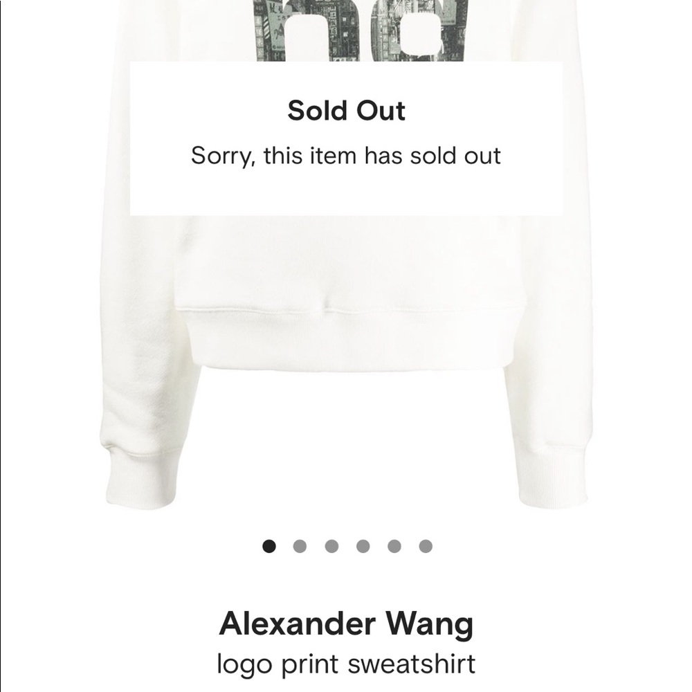 Alexander Wang sweatshirt